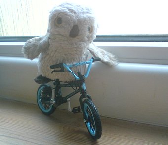Cycling in Jersey!